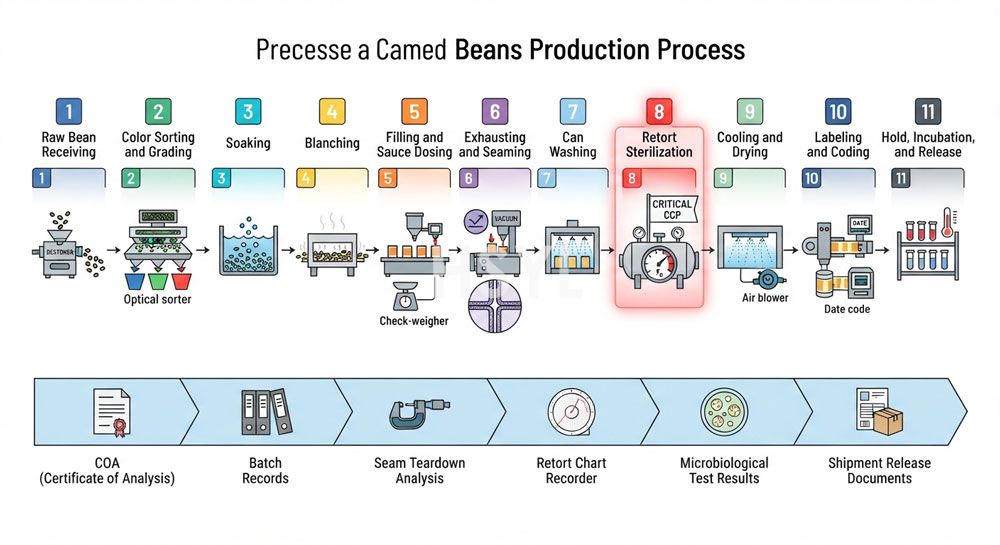 How to Build a Canned Beans Production Line for Export Markets image 2