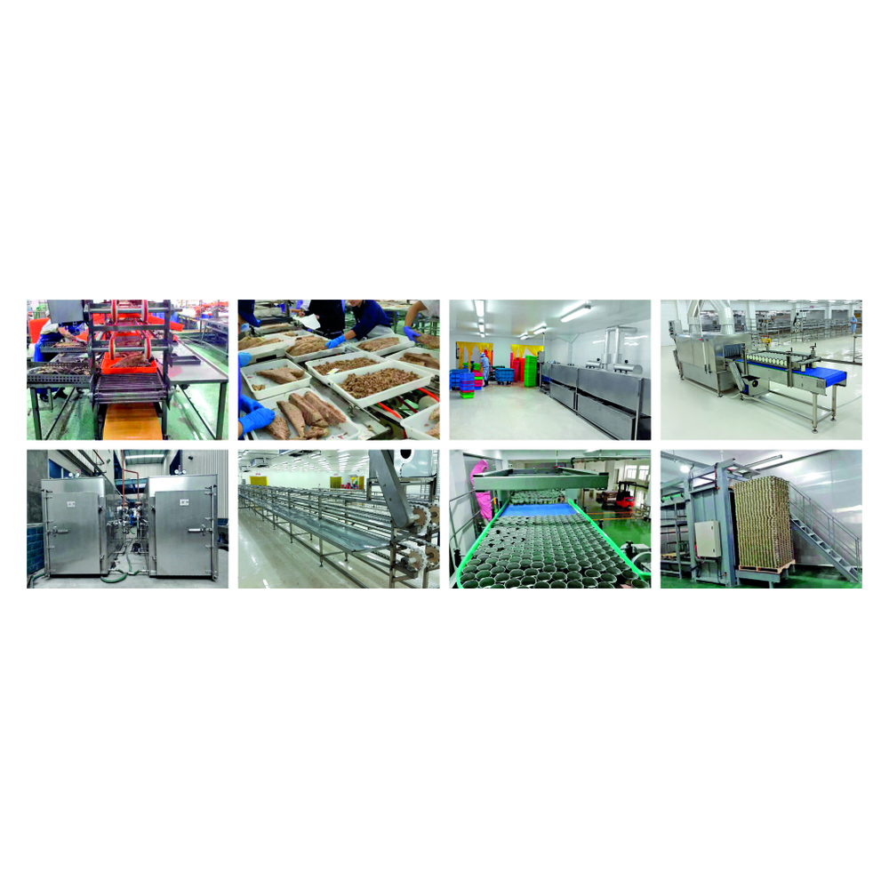 Continuous Fish Scraping and Deboning Station: Mass Flow Kinematics & Sizing
