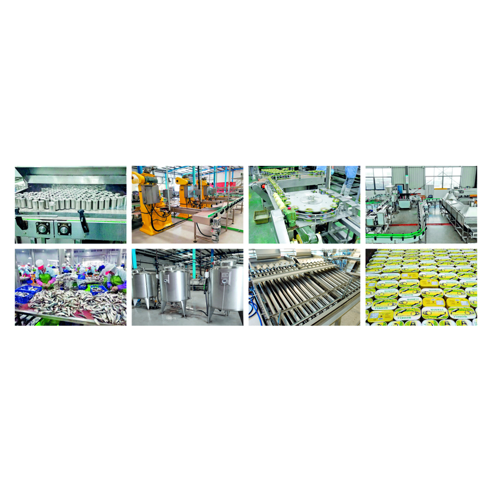 Oval and Club Can Vacuum Seaming Machine: Mass Flow Kinematics & Sizing