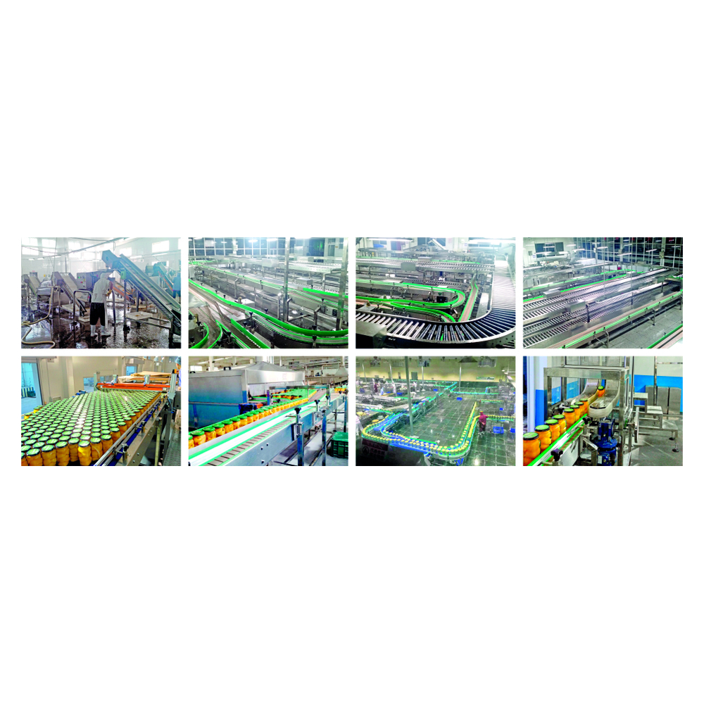 Canned Yellow Peach Production Line